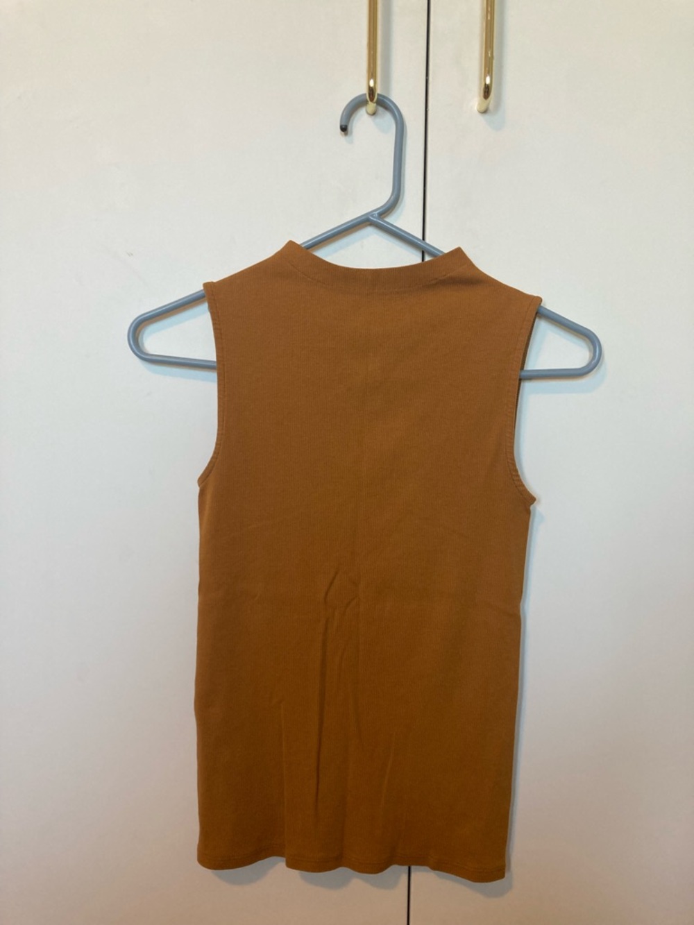 Everlane Women's Sleeveless Mock Neck Tank Top - Rust Brown
